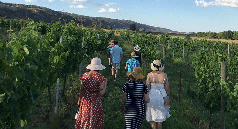 Lake George Vineyard